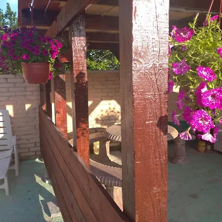 Homestay Castle De Dios *